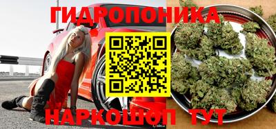 гашик Малоярославец