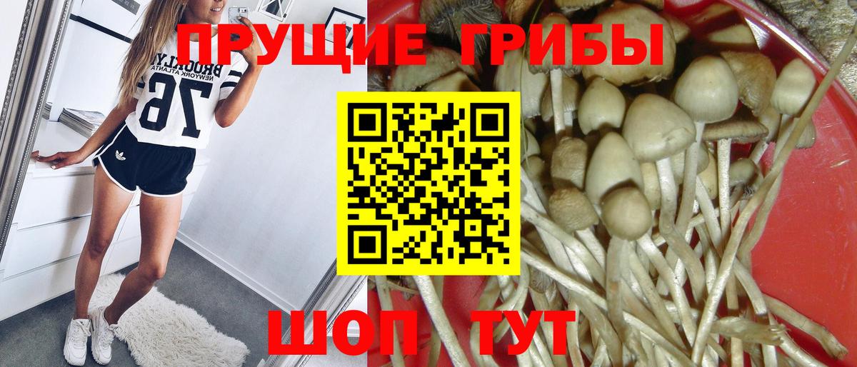 Новомосковск  Галлюциногенные грибы ЛСД  Вход с VPN 