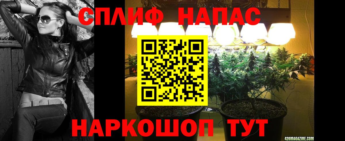 Каннабис OG Kush Новомосковск